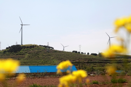 這是5月6日拍攝的山東威海中廣核風(fēng)電場(chǎng)。