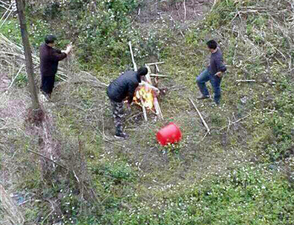 學(xué)校教官在女生宿舍樓下當(dāng)場殺狗烤食4