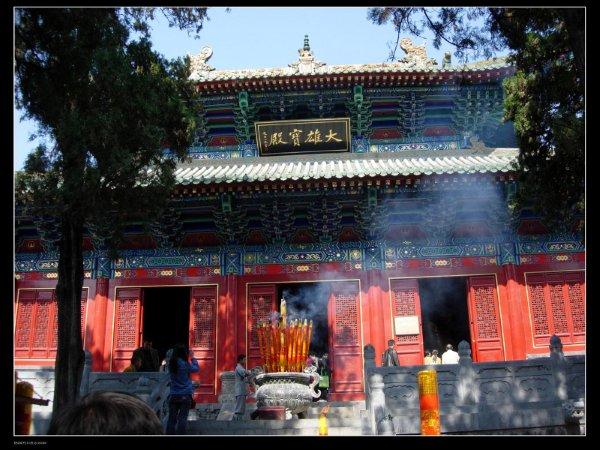 少林寺免費發(fā)玉米:每天限量派送5000多穗 游客排隊領取