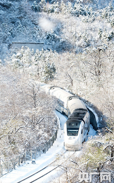 S2列車(chē)如一條銀蛇，穿梭于寂靜的深谷，沿途積雪千樹(shù)萬(wàn)樹(shù)猶如梨花盛開(kāi)，時(shí)間宛若凝固。