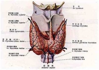 　　預(yù)防護(hù)理