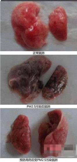 霧霾謠言大起底 你能識(shí)破多少個(gè)？