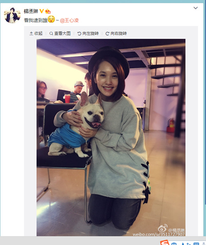 楊丞琳抱王心凌愛犬合照萌犬吐舌頭豎耳朵（圖）