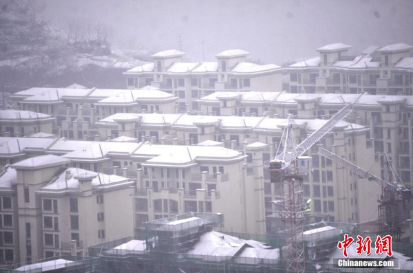 1月23日，重慶主城區(qū)迎來罕見大雪天氣，一小區(qū)綠化帶變成了白茫茫的雪地。圖為樓頂上積滿了白雪。 陳超 攝