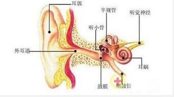“耳朵”出問(wèn)題 警惕“鼻子”惹的禍