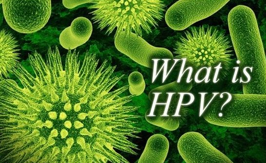 付虹：HPV感染會(huì)導(dǎo)致不孕需斥巨資治療？