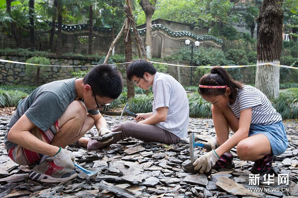 8月21日，市民在南京古生物博物館參加“砸化石”活動(dòng)。1