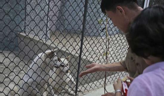 朝鮮平壤動(dòng)物園里啥模樣？“狗屋”是最熱門景點(diǎn)