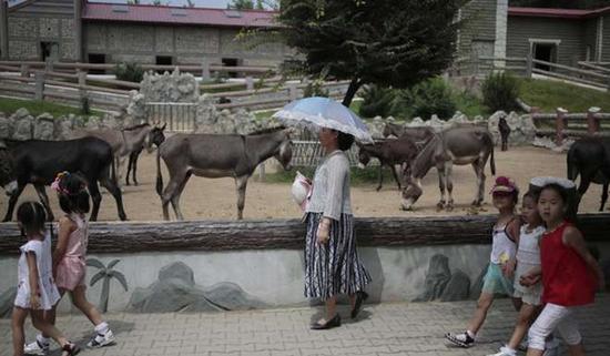 朝鮮平壤動(dòng)物園里啥模樣？“狗屋”是最熱門景點(diǎn)