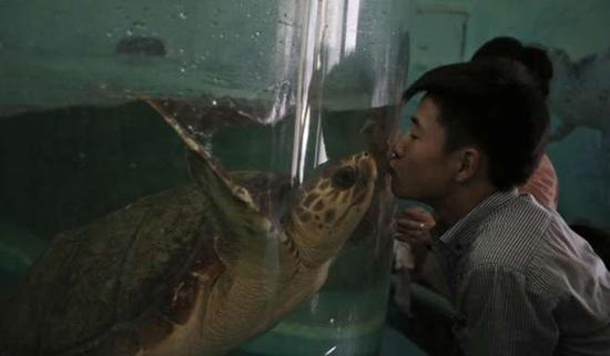 朝鮮平壤動(dòng)物園里啥模樣？“狗屋”是最熱門景點(diǎn)