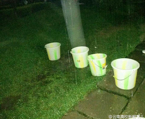 圖為學(xué)生拿桶接雨水。