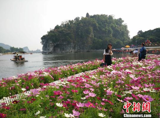 10月6日，游客在桂林城徽象山景區(qū)游玩?！W惠蘭 攝