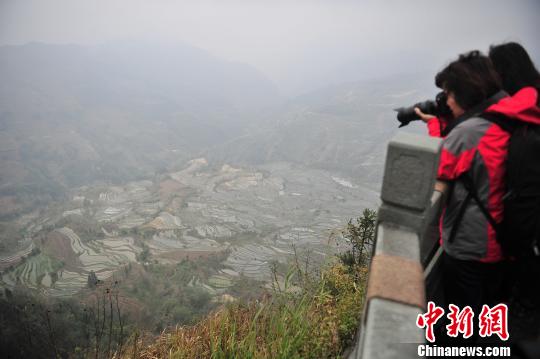 游客在哈尼梯田景區(qū)拍照?！⑷疥?攝