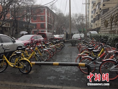 風(fēng)雪中的共享單車。<a target='_blank' href='http://www.chinanews.com/' >中新網(wǎng)</a> 吳濤 攝