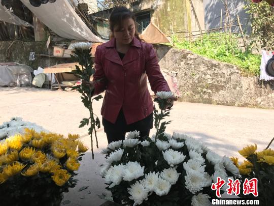 圖為市民挑選鮮花為祭掃做準(zhǔn)備?！＄婌?攝