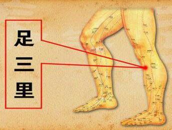 針灸哪些穴位可治療脂肪肝 日常護理5要點