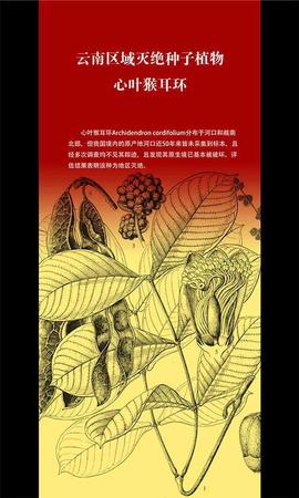 云南發(fā)首個(gè)省級(jí)物種紅色名錄 2625種生存受威脅