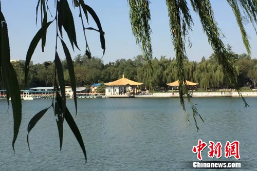 今年4月，北京陶然亭公園內(nèi)春意盎然。<a target='_blank' href='http://www.chinanews.com/' >中新網(wǎng)</a> 種卿 攝