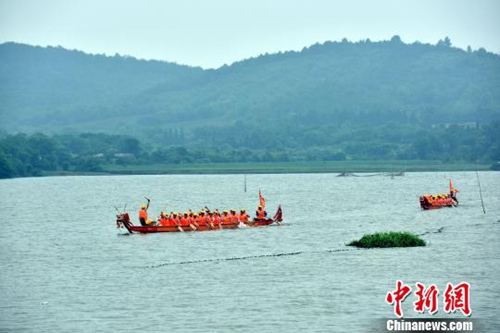 資料圖：江南水鄉(xiāng)端午節(jié)前龍舟“發(fā)船” 祈風(fēng)調(diào)雨順。龍舟在湖中辟波斬浪?！∪f朝暉 攝