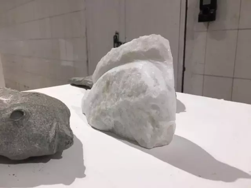 畢業(yè)展作品被盜皮皮蝦也遭殃 學生貼26個勿觸碰