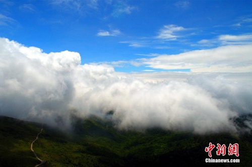 資料圖：神農(nóng)架現(xiàn)云海奇觀。 周星亮 攝