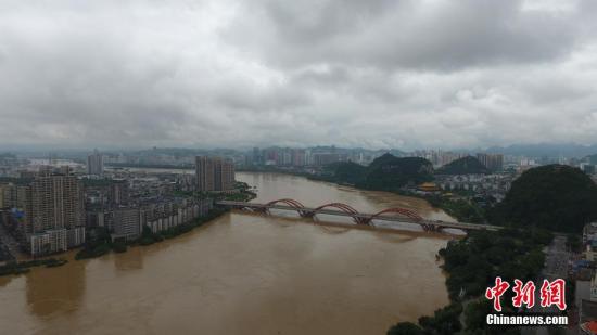 資料圖：7月3日，因受連日暴雨影響，廣西柳江河柳州段出現(xiàn)超警戒水位。 王以照 攝