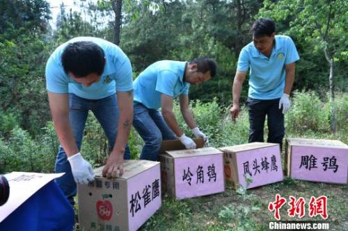 資料圖：云南省野生動(dòng)物收容拯救中心工作人員準(zhǔn)備放歸野生動(dòng)物?！∪螙| 攝