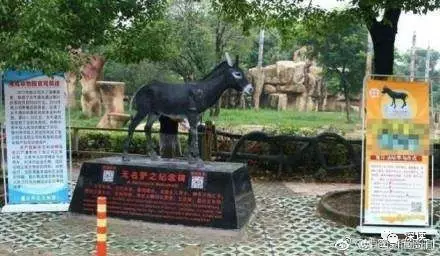 曾活驢喂虎的動(dòng)物園涉9500萬經(jīng)濟(jì)糾紛 開庭無果