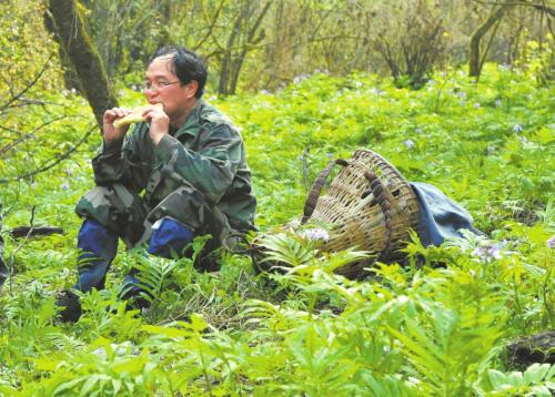 點擊進(jìn)入下一頁