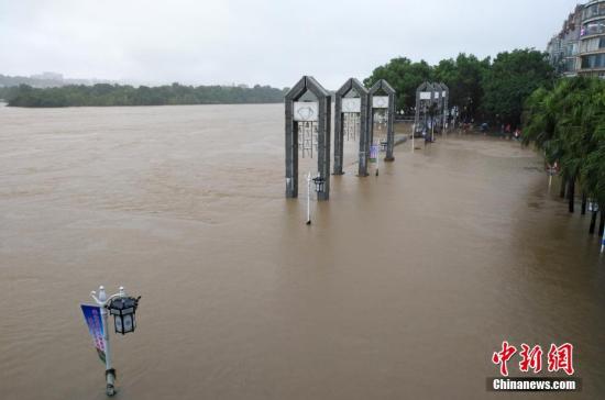 受新一輪連續(xù)強降雨影響，8月15日2時10分，漓江桂林水文站出現(xiàn)147.51米洪峰水位，超警戒水位1.51米，為今年最大洪水。當天漓江旅游船舶、排筏全線封航。 趙琳露 攝