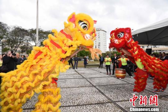 圖為圣保羅華星藝術團表演精彩的舞獅，慶祝“中國廣場”和孔子雕像揭幕?！∧尚?攝