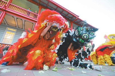 蘇里南首都帕拉馬里博，華裔民眾進(jìn)行舞獅表演，歡迎中國傳統(tǒng)春節(jié)到來。 　　人民視覺