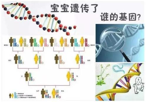 孩子的智商和相貌 更容易遺傳誰(shuí)？