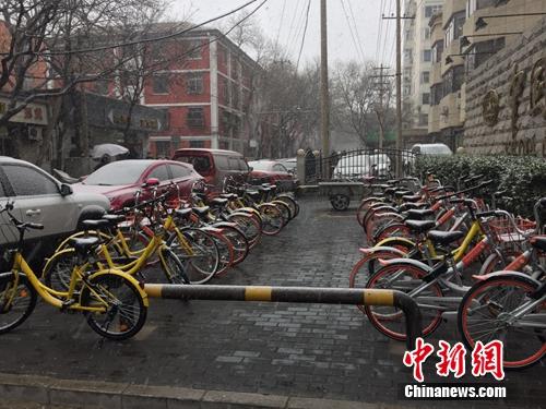 資料圖：風(fēng)雪中的共享單車(chē)。<a target='_blank' href='http://www.chinanews.com/' >中新網(wǎng)</a> 吳濤攝