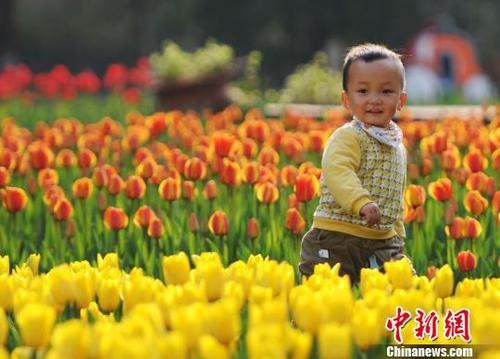 3月22日，小朋友在江西九江市濂溪區(qū)的九江新湖郁金香花博會(huì)現(xiàn)場(chǎng)玩耍。　胡國(guó)林　攝