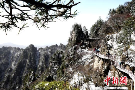 雪后老君山呈現(xiàn)峰林美景 王中舉 攝