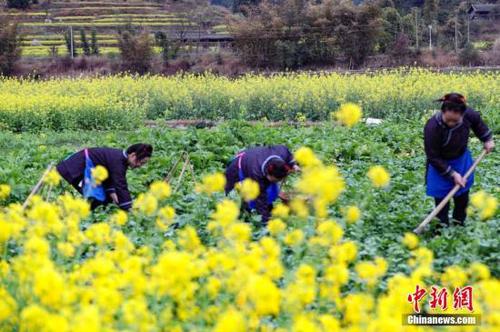 點(diǎn)擊進(jìn)入下一頁