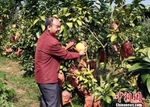 點擊進入下一頁