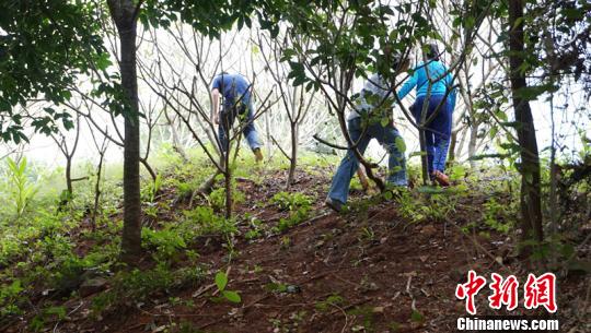 舊州古城墻遺址?！》钊?攝