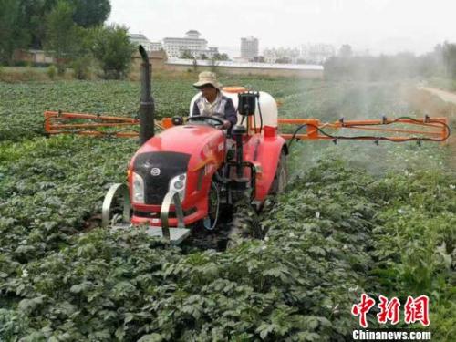 資料圖：農(nóng)民給馬鈴薯噴灑追肥。陳得軍 攝