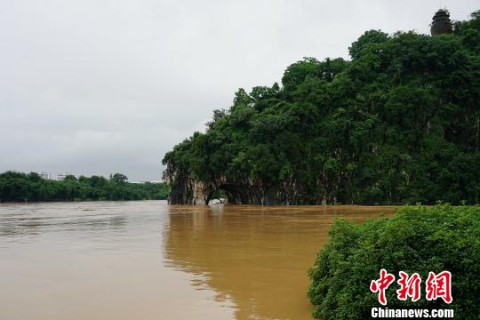 圖為桂林城徽象鼻山被淹?！√茐魬?攝