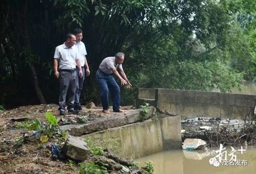 茂名81歲老人跳下4米深河救人:人命怎么樣都要救