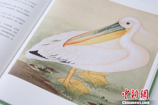 《故宮里的博物學(xué)》內(nèi)頁 故宮出版社供圖