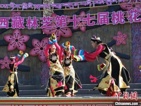 圖為林芝桃花節(jié)開幕場景，2019年3月29日，林芝第十七屆桃花旅游文化節(jié)在巴宜區(qū)開幕(資料圖)?！垈?攝